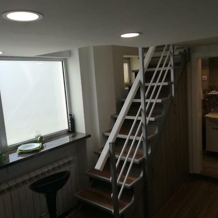 Classy And Cozy - Parking - 3 Beds - Near Center Novi Sad Exteriör bild